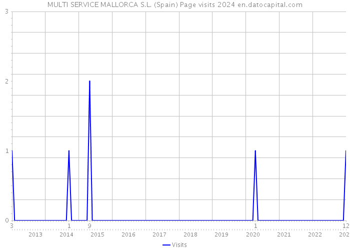MULTI SERVICE MALLORCA S.L. (Spain) Page visits 2024 