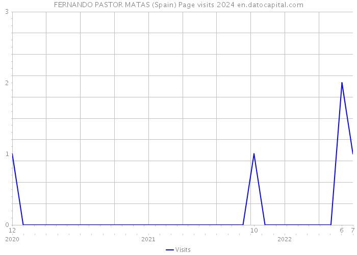 FERNANDO PASTOR MATAS (Spain) Page visits 2024 