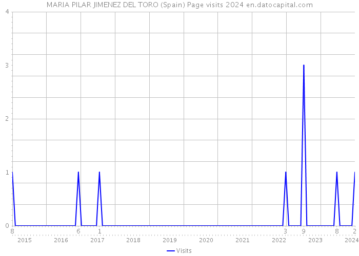 MARIA PILAR JIMENEZ DEL TORO (Spain) Page visits 2024 