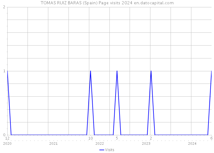 TOMAS RUIZ BARAS (Spain) Page visits 2024 