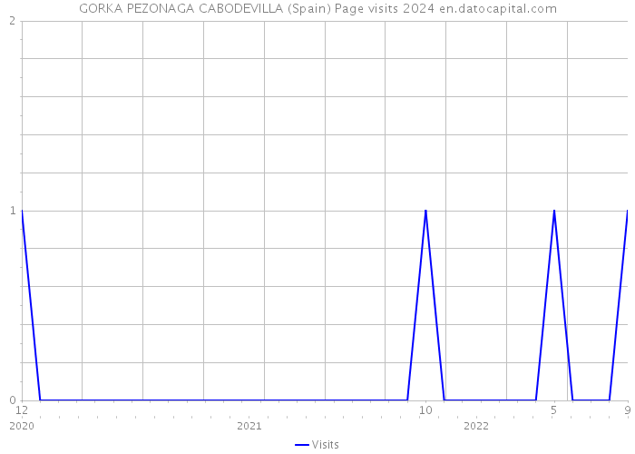 GORKA PEZONAGA CABODEVILLA (Spain) Page visits 2024 