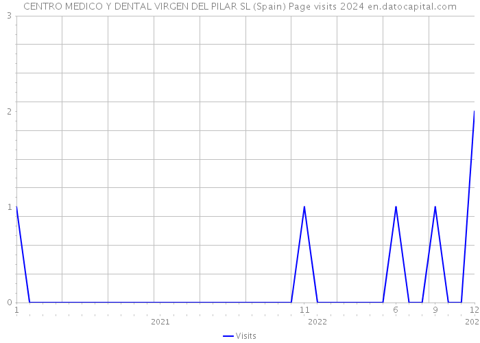 CENTRO MEDICO Y DENTAL VIRGEN DEL PILAR SL (Spain) Page visits 2024 