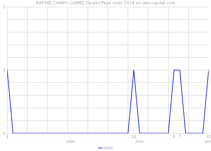 RAFAEL CAMPO GOMEZ (Spain) Page visits 2024 