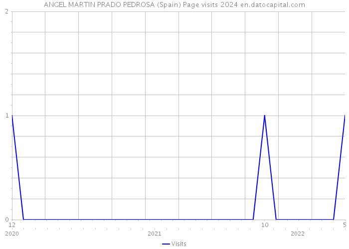 ANGEL MARTIN PRADO PEDROSA (Spain) Page visits 2024 