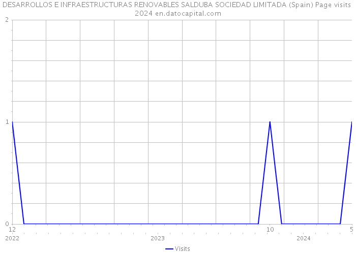 DESARROLLOS E INFRAESTRUCTURAS RENOVABLES SALDUBA SOCIEDAD LIMITADA (Spain) Page visits 2024 