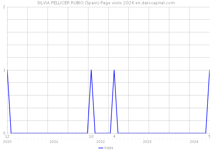 SILVIA PELLICER RUBIO (Spain) Page visits 2024 