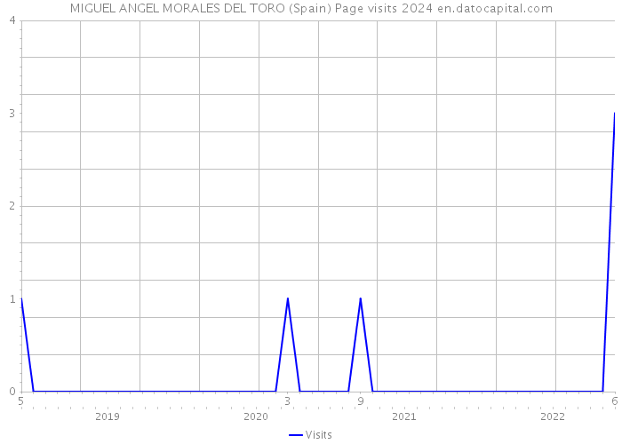 MIGUEL ANGEL MORALES DEL TORO (Spain) Page visits 2024 
