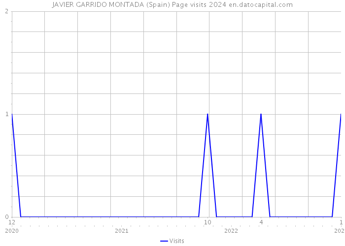 JAVIER GARRIDO MONTADA (Spain) Page visits 2024 