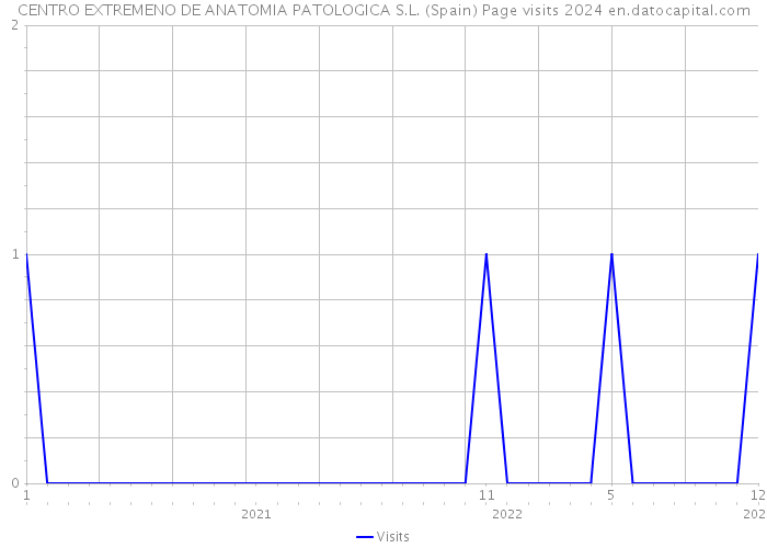CENTRO EXTREMENO DE ANATOMIA PATOLOGICA S.L. (Spain) Page visits 2024 