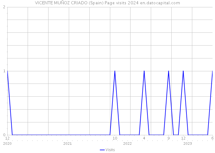 VICENTE MUÑOZ CRIADO (Spain) Page visits 2024 