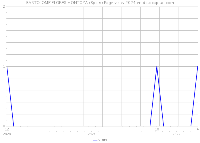 BARTOLOME FLORES MONTOYA (Spain) Page visits 2024 