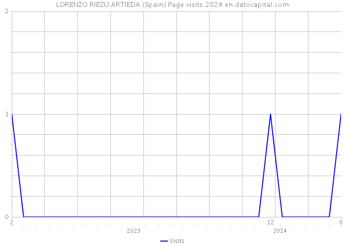 LORENZO RIEZU ARTIEDA (Spain) Page visits 2024 