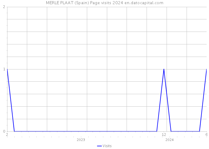 MERLE PLAAT (Spain) Page visits 2024 