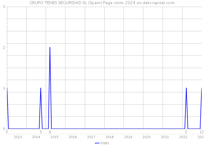 GRUPO TENES SEGURIDAD SL (Spain) Page visits 2024 