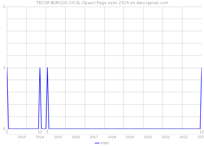 TECOR BURGOS XXI SL (Spain) Page visits 2024 