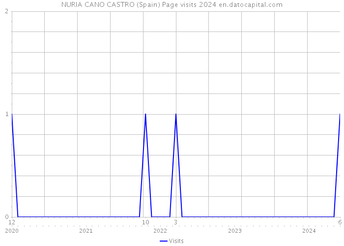 NURIA CANO CASTRO (Spain) Page visits 2024 