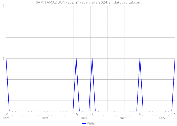 SAM TAMADDON (Spain) Page visits 2024 