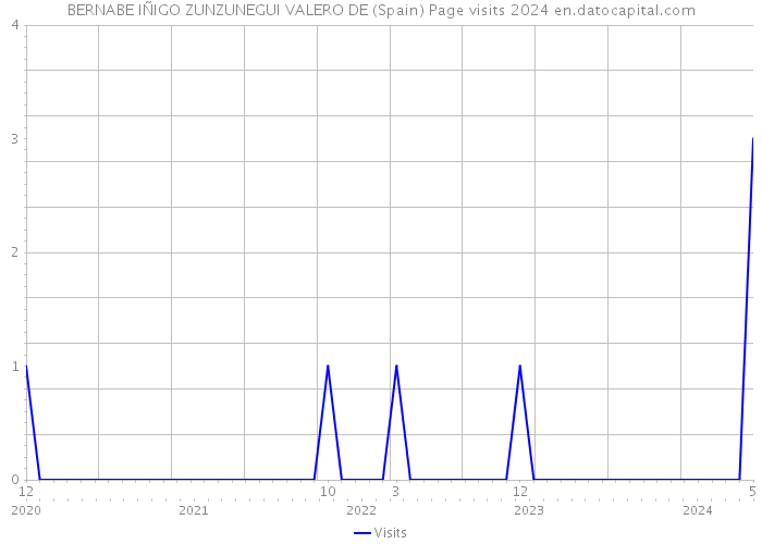 BERNABE IÑIGO ZUNZUNEGUI VALERO DE (Spain) Page visits 2024 