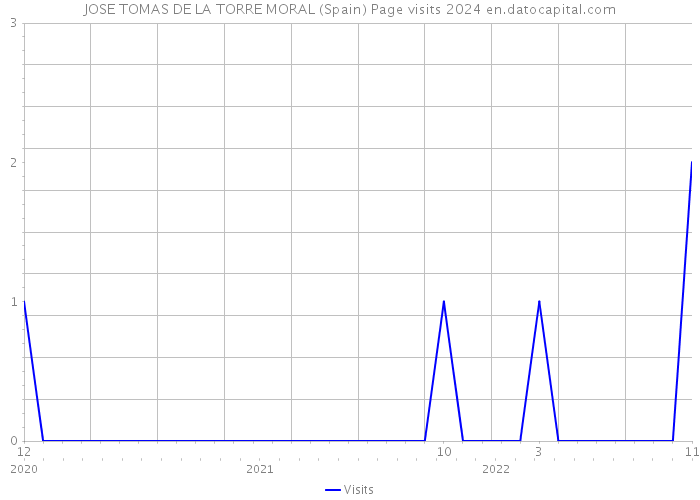 JOSE TOMAS DE LA TORRE MORAL (Spain) Page visits 2024 
