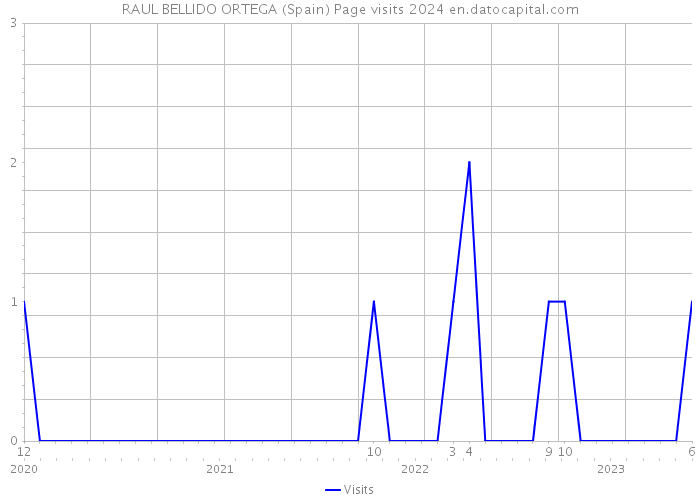 RAUL BELLIDO ORTEGA (Spain) Page visits 2024 