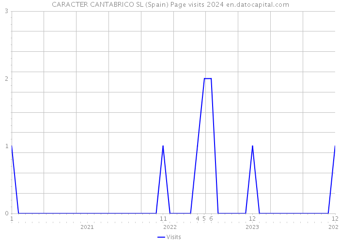  CARACTER CANTABRICO SL (Spain) Page visits 2024 