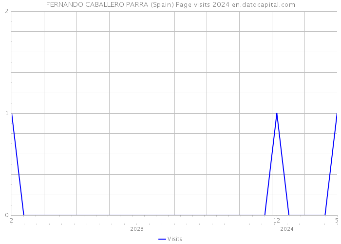 FERNANDO CABALLERO PARRA (Spain) Page visits 2024 