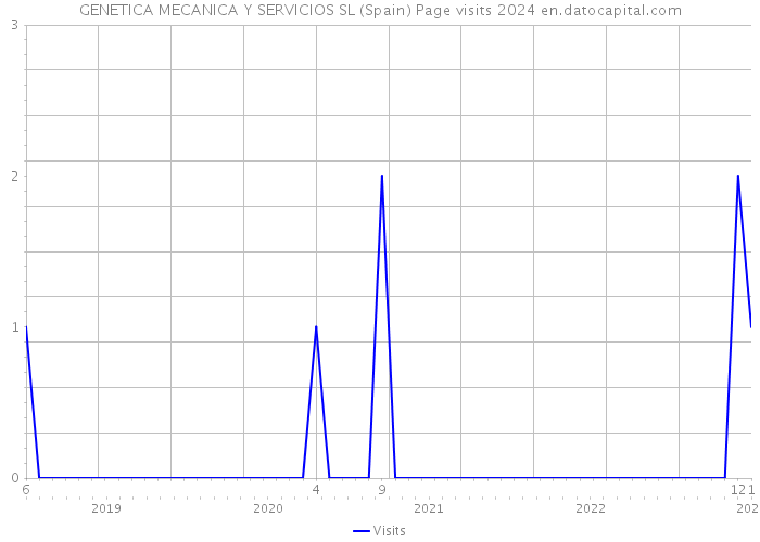 GENETICA MECANICA Y SERVICIOS SL (Spain) Page visits 2024 