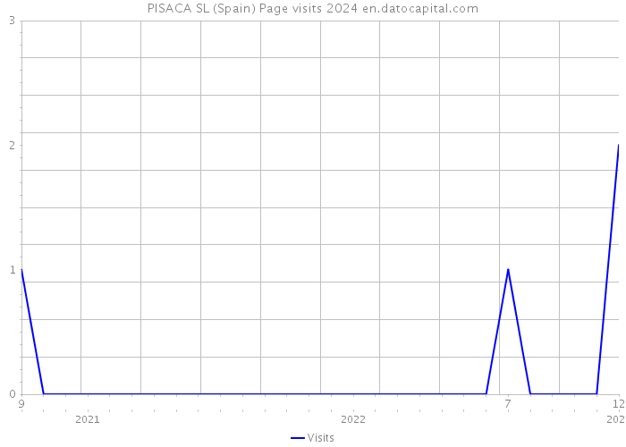 PISACA SL (Spain) Page visits 2024 