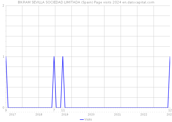 BIKRAM SEVILLA SOCIEDAD LIMITADA (Spain) Page visits 2024 