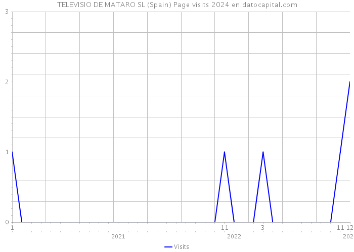 TELEVISIO DE MATARO SL (Spain) Page visits 2024 