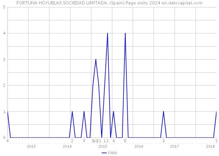 FORTUNA HOYUELAS SOCIEDAD LIMITADA. (Spain) Page visits 2024 