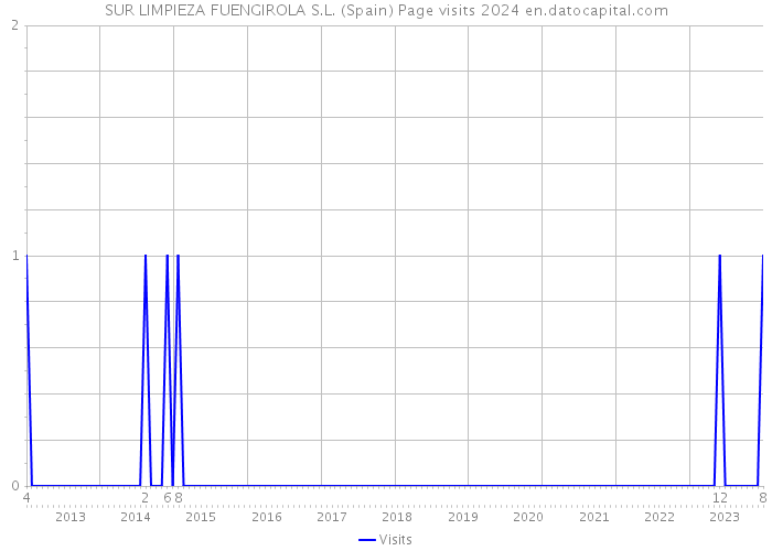 SUR LIMPIEZA FUENGIROLA S.L. (Spain) Page visits 2024 