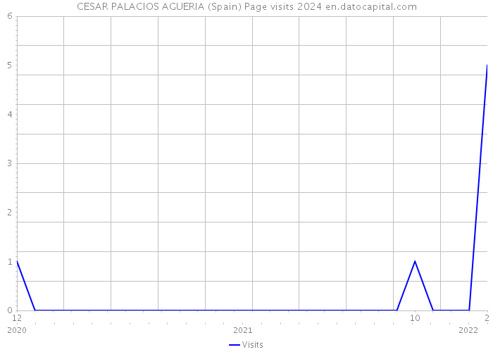 CESAR PALACIOS AGUERIA (Spain) Page visits 2024 