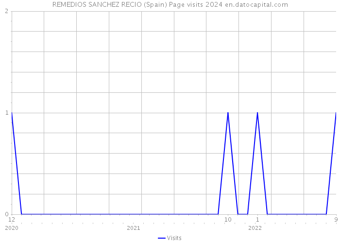 REMEDIOS SANCHEZ RECIO (Spain) Page visits 2024 
