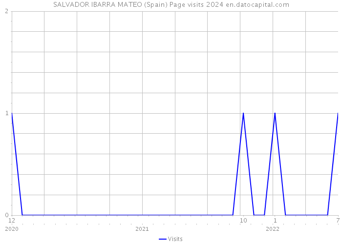SALVADOR IBARRA MATEO (Spain) Page visits 2024 