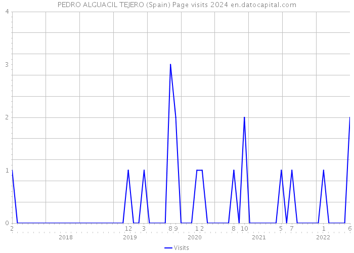 PEDRO ALGUACIL TEJERO (Spain) Page visits 2024 