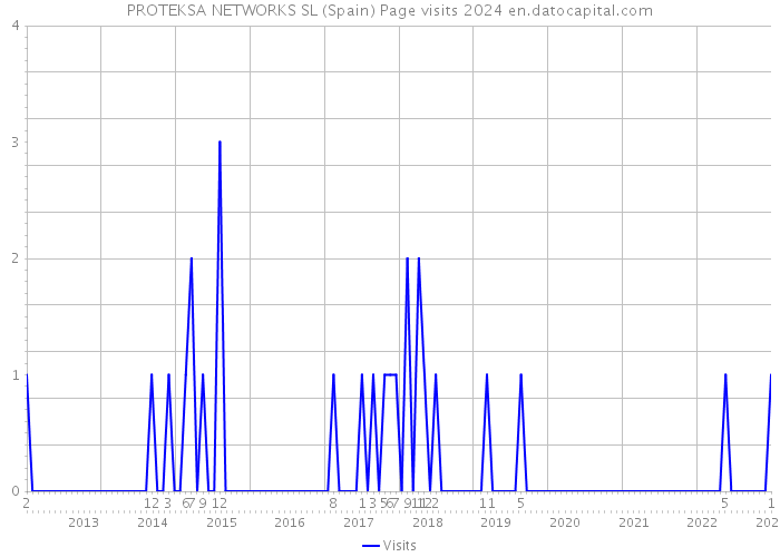 PROTEKSA NETWORKS SL (Spain) Page visits 2024 