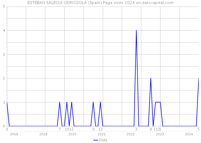 ESTEBAN SALEGUI ODRIOZOLA (Spain) Page visits 2024 