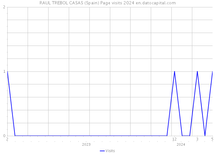 RAUL TREBOL CASAS (Spain) Page visits 2024 