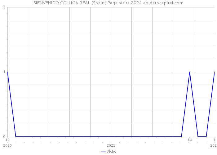 BIENVENIDO COLLIGA REAL (Spain) Page visits 2024 