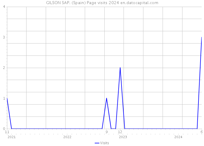 GILSON SAP. (Spain) Page visits 2024 
