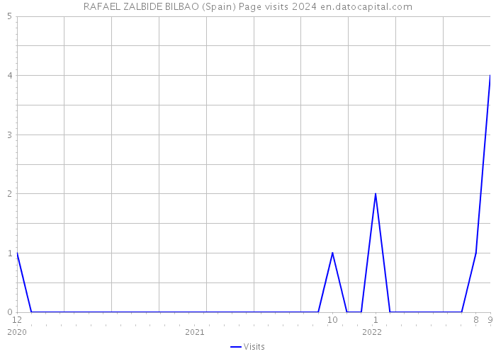 RAFAEL ZALBIDE BILBAO (Spain) Page visits 2024 