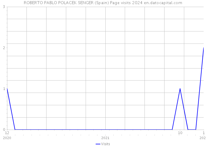 ROBERTO PABLO POLACEK SENGER (Spain) Page visits 2024 