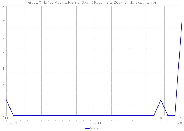 Tejada Y Nuñez Asociados S.L (Spain) Page visits 2024 