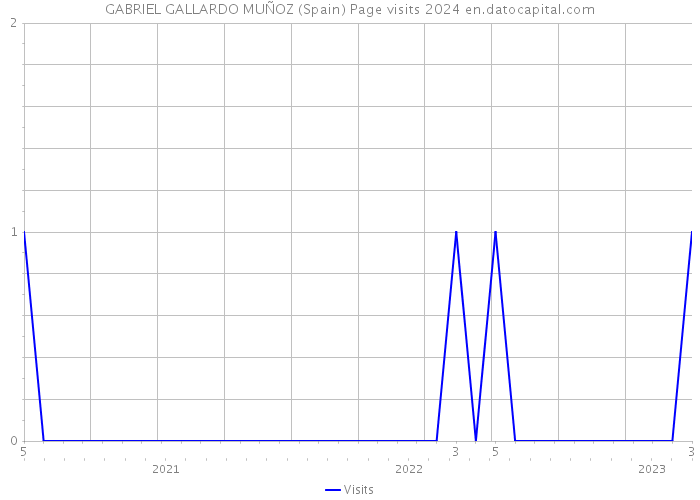 GABRIEL GALLARDO MUÑOZ (Spain) Page visits 2024 