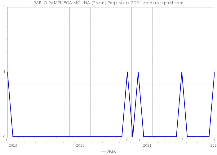 PABLO PAMPLIEGA MOLINA (Spain) Page visits 2024 