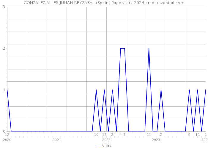 GONZALEZ ALLER JULIAN REYZABAL (Spain) Page visits 2024 