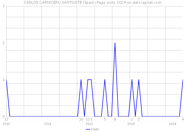 CARLOS CARNICERO SANTIUSTE (Spain) Page visits 2024 