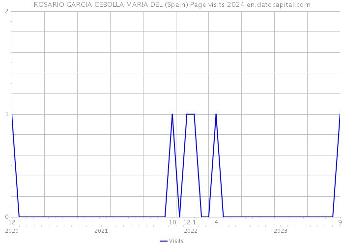 ROSARIO GARCIA CEBOLLA MARIA DEL (Spain) Page visits 2024 