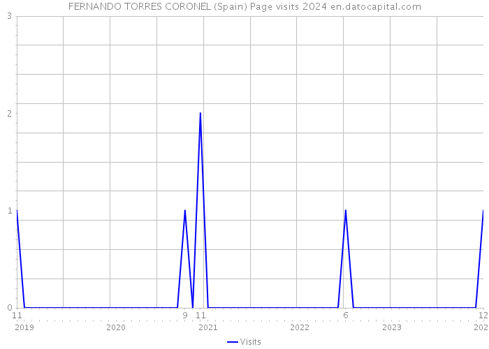 FERNANDO TORRES CORONEL (Spain) Page visits 2024 